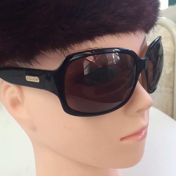 Coach Sunglasses Ginger - Picture 1 of 8
